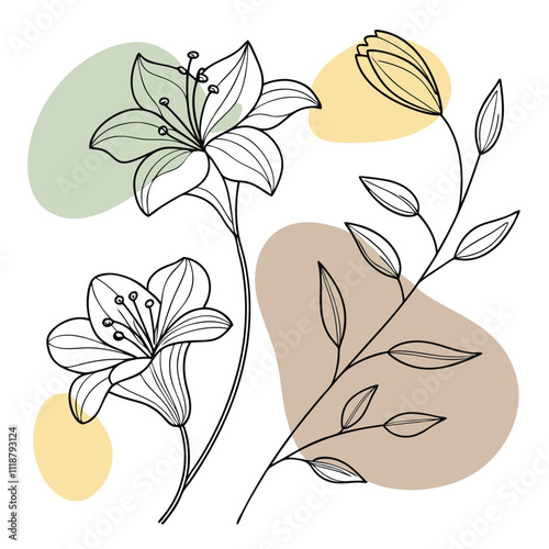 Adobe IllustElegant Minimalistic Floral Line Artrator Artwork