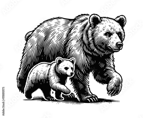 mother bear and her cub walking together engraving black and white outline