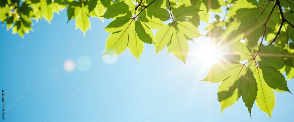 Obraz premium Vibrant Green Leaves Basking in Sunlight Against Clear Blue Sky with Copy Space