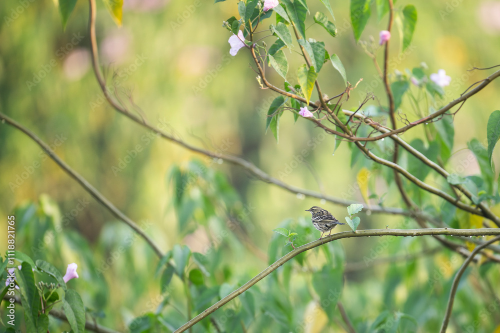Small Bird Perched on a Branch Amidst Lush Foliage and Blossoms