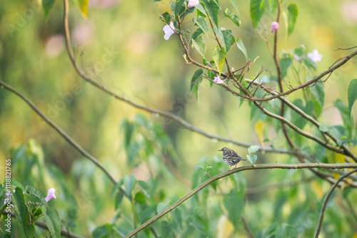 Obraz na płótnie Small Bird Perched on a Branch Amidst Lush Foliage and Blossoms w salonie