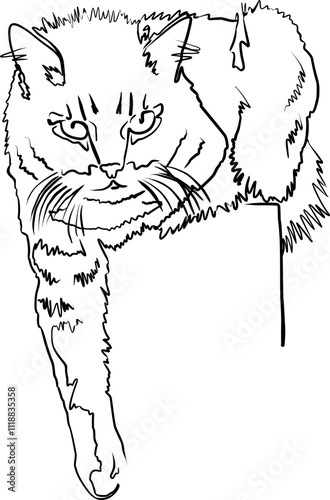 Charming line drawing of a cute cat, showcasing its adorable nature and detailed whiskers