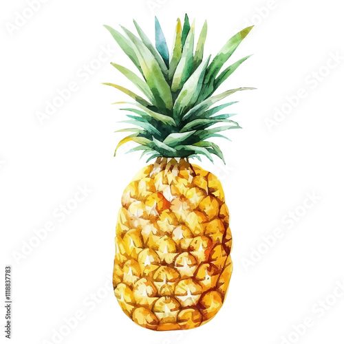 A watercolor of a Pineapple, isolated on a white background. Pineapple vector.