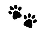 Dog paws 