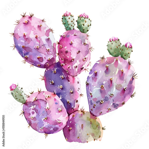 A watercolor illustration of a Prickly Pear Cactus, isolated on a white background. Prickly Pear Cactus vector.