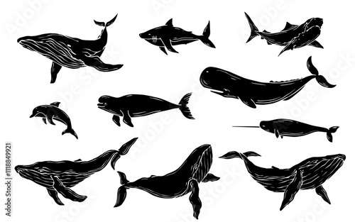 Collection of silhouettes, stamps of predatory marine mammals, fish. Vector graphics.