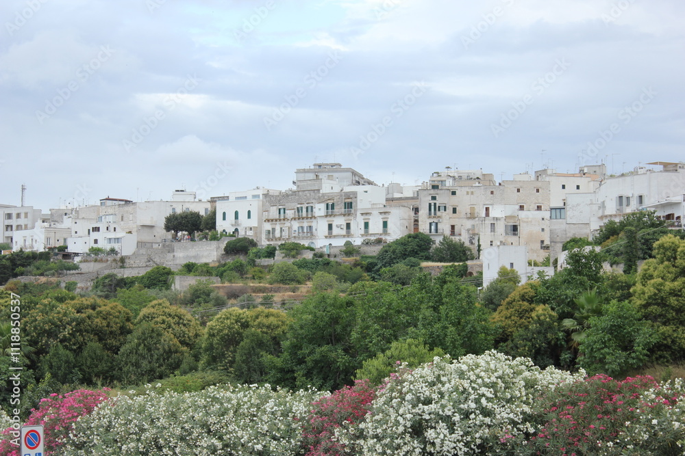 Fototapeta premium Ostuni 1