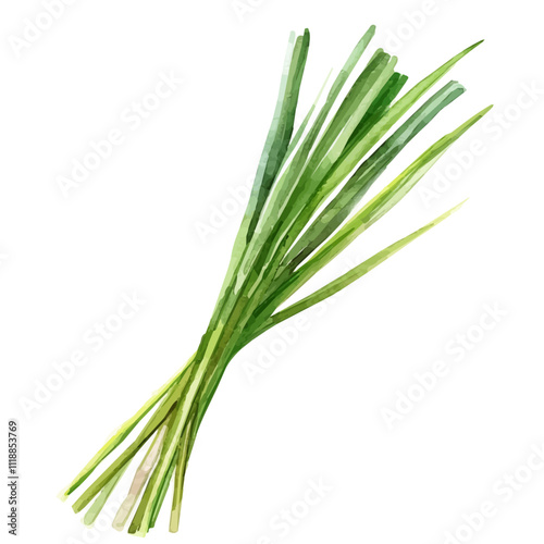 A watercolor clipart of Lemongrass, with long green stalks and a fresh citrus aroma. Lemongrass vector.