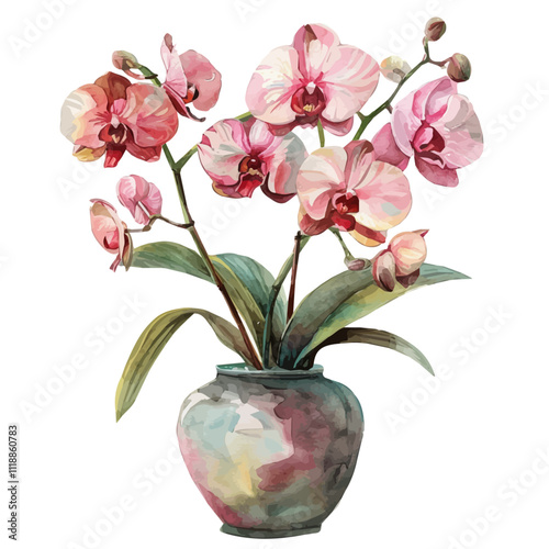 A watercolor clipart of a vase with orchids, isolated on a white background. Orchids vector.