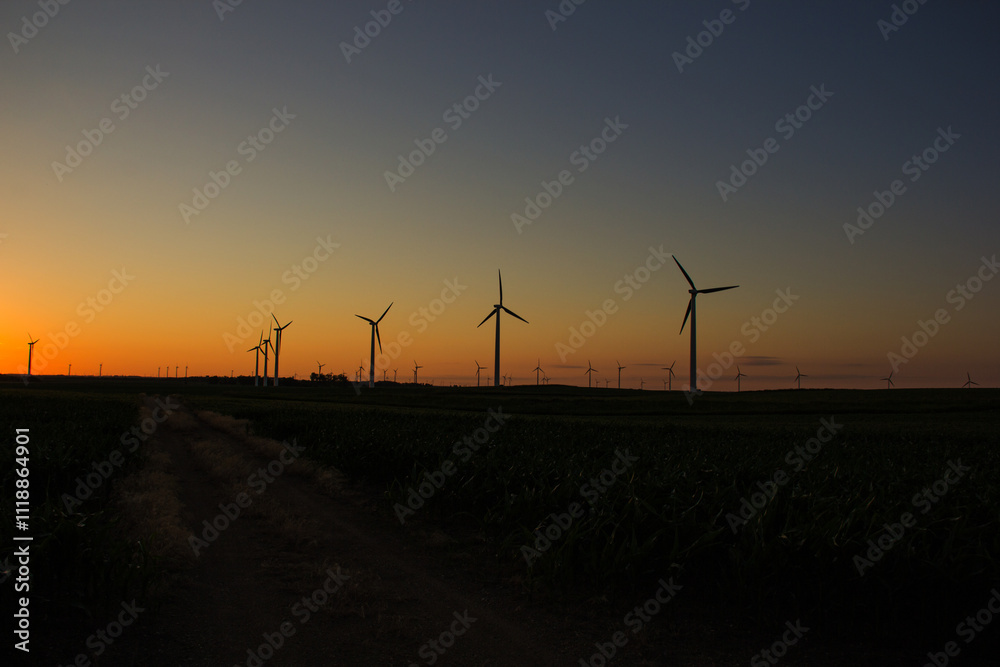 Obraz premium wind turbines at sunset
