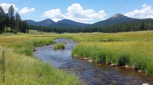 Serene Mountain Landscape with Stream Flowing Through Lush Grassland