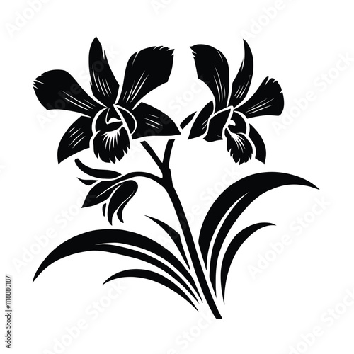 Dendrobium Orchid Silhouette