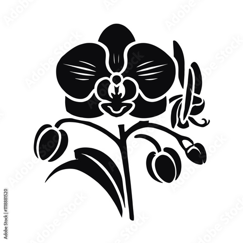 Vanda Orchid Silhouette