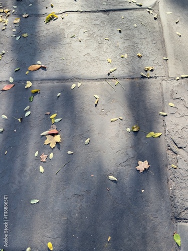 Finely scattered light yellow brown and green autumn leaves on the ground and bluestone pavement  photo