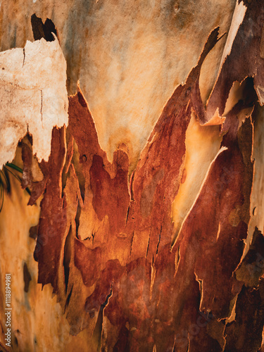Photography Australian Nature, Stony Range Regional Botanic Garden