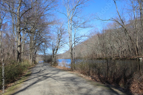 A dirt path through a wooded area leading to a lake.
