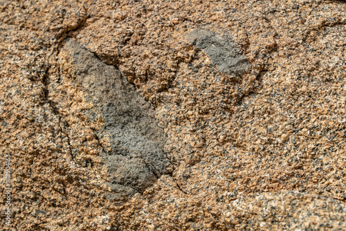 Mesozoi Plutonic Rocks, Gray biotite - rich granodiorite to quartz diorite. granite. xenolith (