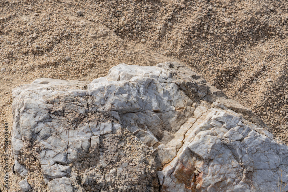 Lost Palms Oasis Trail Colorado Desert section of the Sonoran Desert. Joshua Tree National Park California，Mesozoi Plutonic Rocks, Gray biotite - rich granodiorite to quartz diorite. granite. 
