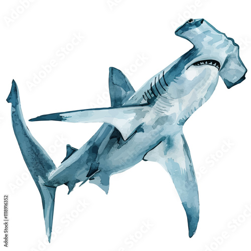 A watercolor vector of a hammerhead shark, isolated on a white background. Hammerhead shark vector.