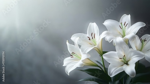 Sympathy Card with White Lily Flowers on Grey Background for Grief and Loss Remembrance photo