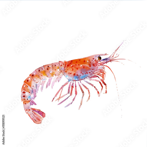 A watercolor of krill, isolated on a white background. Krill vector.
