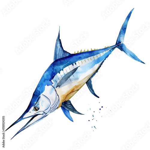 A watercolor of a marlin, isolated on a white background. Marlin vector.