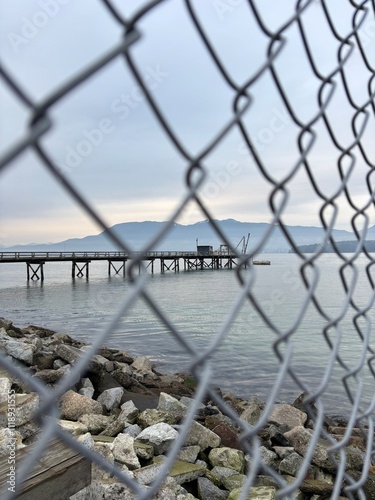 chain link fence