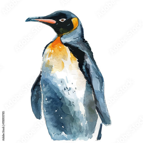 A watercolor drawing of a penguin, isolated on a white background. Penguin vector.