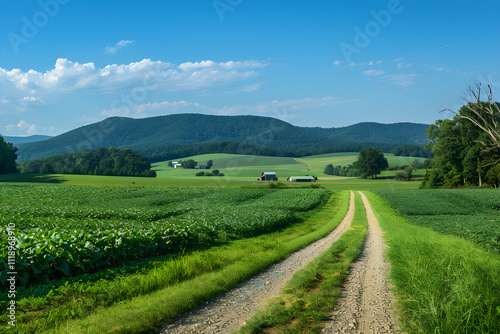 Rustic Fertile Farmland for Sale in Scenic West Virginia