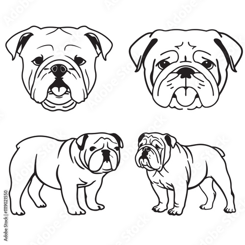 Bulldog silhouette vector illustration line art