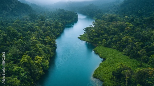 Aerial view of a tranquil river winding through lush tropical rainforest. Dense green foliage surrounds the clear blue river, creating a picturesque landscape of nature's beauty.. photo