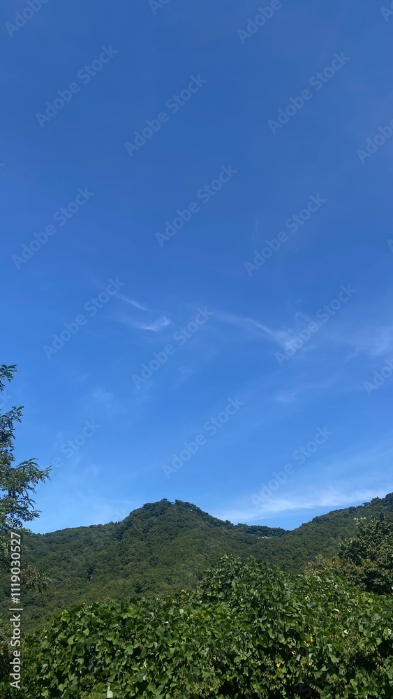 Obraz premium 하늘