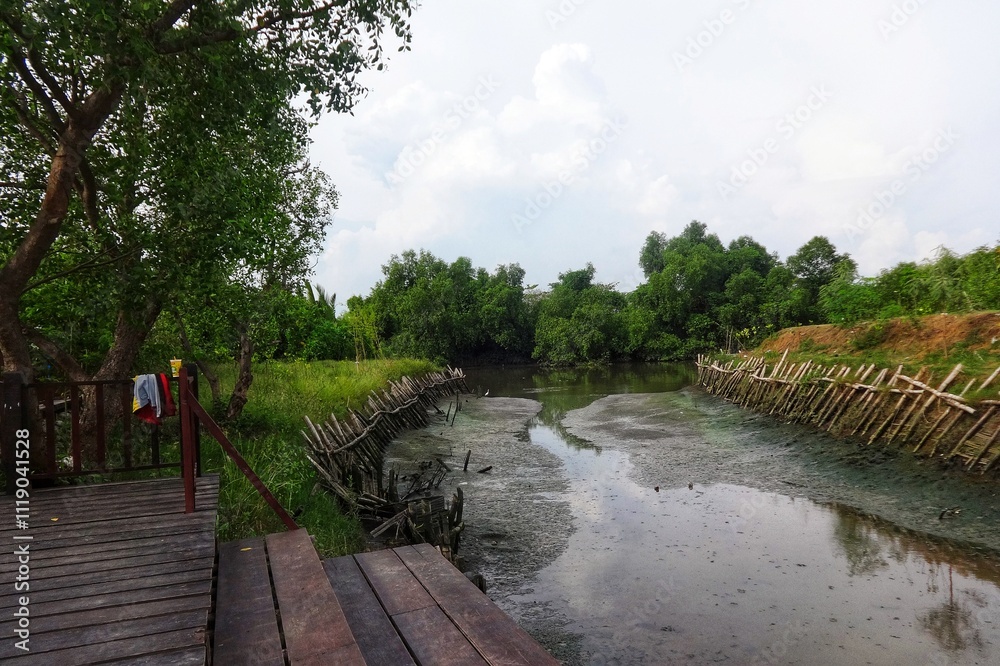 Portrait of the river in Surabaya's Mangrove forest at low tide, wooden fences on the right and left sides of the river, small ponds Portrait of the river in Surabaya's Mangrove forest at low tide, wooden fences on the right and left sides of the river, small ponds