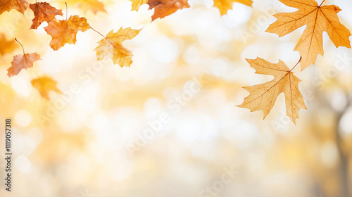 Golden Autumn Leaves:  A ge...