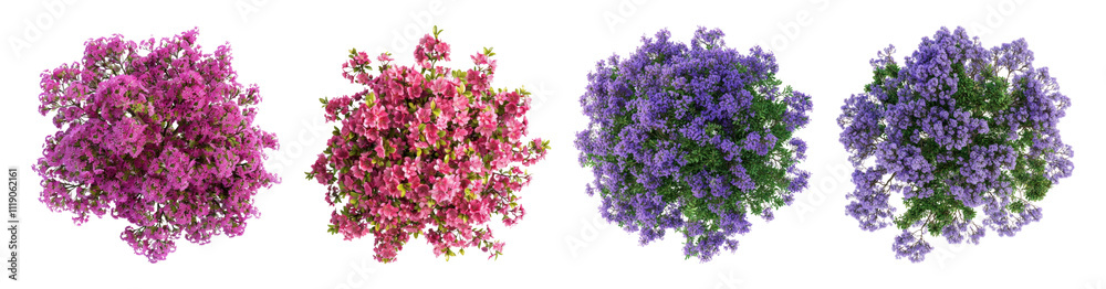 PNG Bushes top view set on transparent background PNG Bushes top view set on transparent background