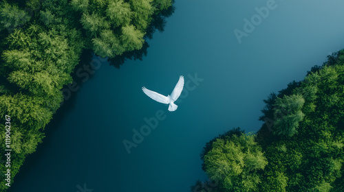 Serene Flight Over Emerald ...