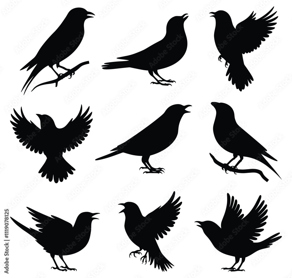 Set of canary bird silhouettes in various poses. isolated vector on white background. Set of canary bird silhouettes in various poses. isolated vector on white background.