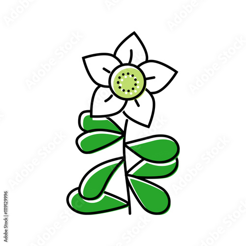 brahmi ayurvedic herb color icon vector. brahmi ayurvedic herb sign. isolated symbol illustration