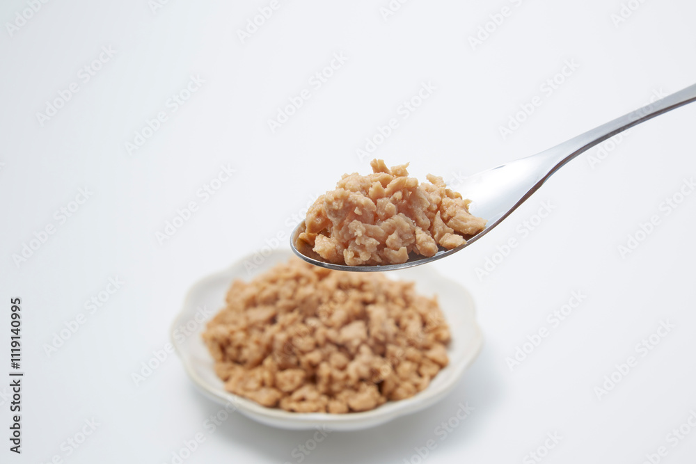 皿盛りされた大豆ミートが白背景に置かれた様 皿盛りされた大豆ミートが白背景に置かれた様