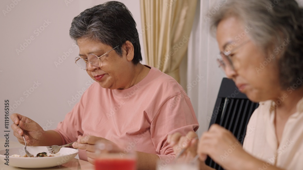 Asian Senior woman and female friend eating delicious meal together at home Asian Senior woman and female friend eating delicious meal together at home