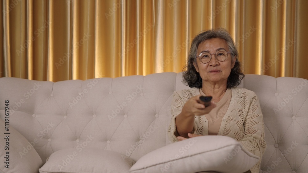 Smiling Senior Woman Watching TV use Remote in living room Smiling Senior Woman Watching TV use Remote in living room