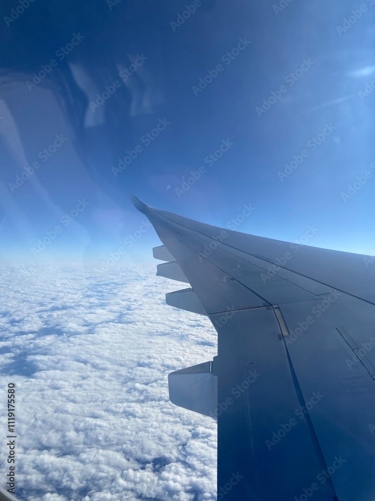 Fototapeta premium Plane view