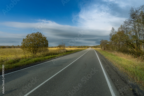 A road with a few trees in the background and a clear blue sky