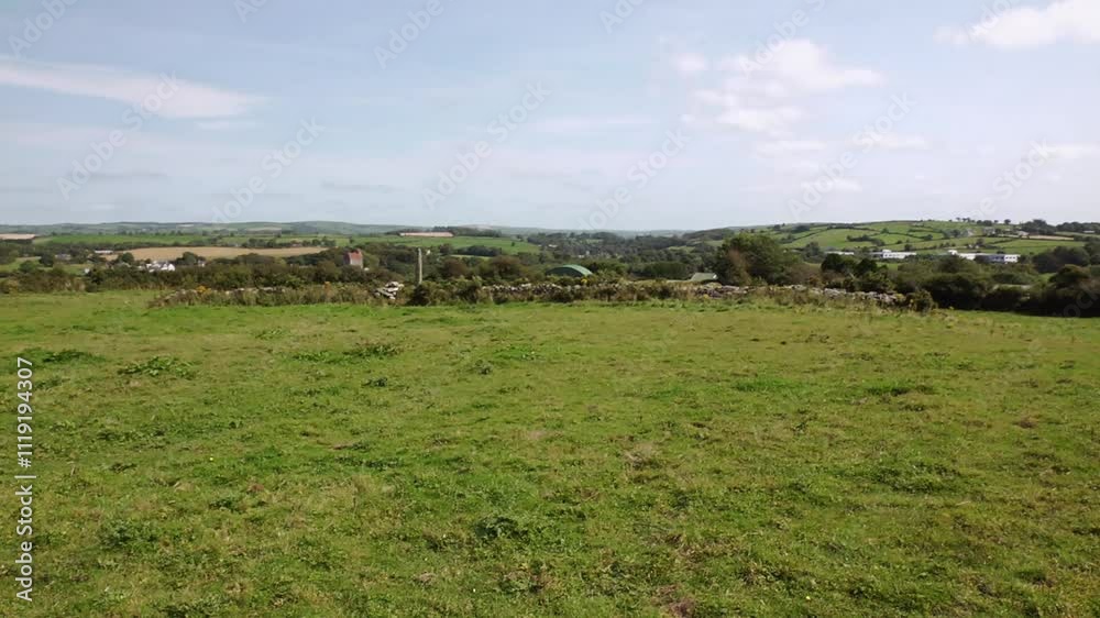 Green fields and rolling hills with scattered trees under a clear blue sky Green fields and rolling hills with scattered trees under a clear blue sky