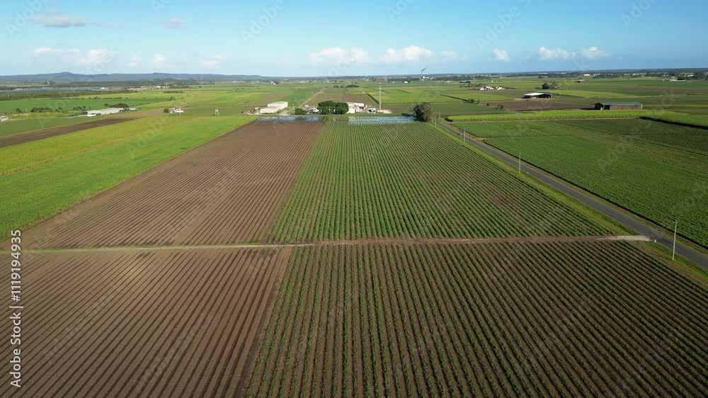 Left to right moving aerial views over sugar cane farms in South East Queensland, Australia Left to right moving aerial views over sugar cane farms in South East Queensland, Australia