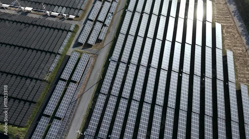 Wallpaper Mural Overhead drone footage of solar panels, renewable energy and the energy industry Torontodigital.ca