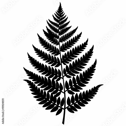 Fern Silhouette Vector Design Illustration