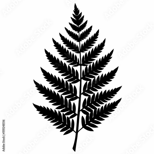 Fern Silhouette Vector Design Illustration