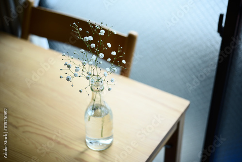 baby's breath