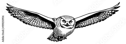 snowy owl fly engraving black and white outline